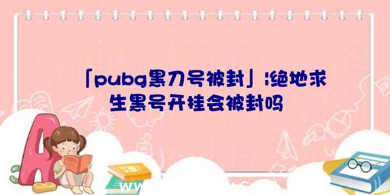 「pubg黑刀号被封」|绝地求生黑号开挂会被封吗